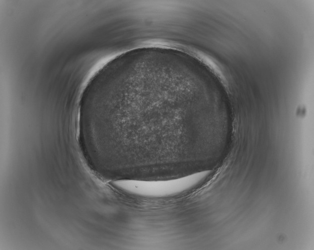 X0000090611323200708141343