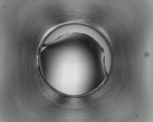 X0000090611324200708141343