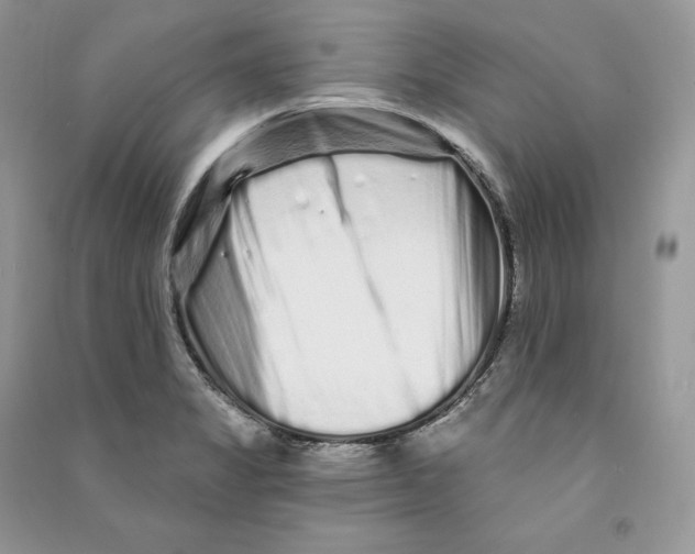 X0000090611325200708141343