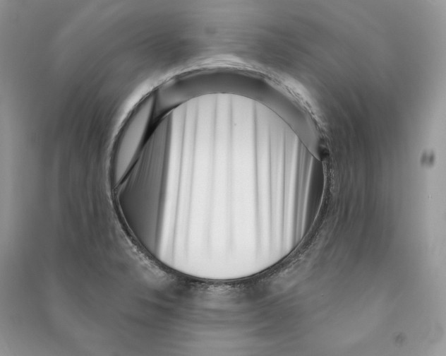 X0000090611326200708141343