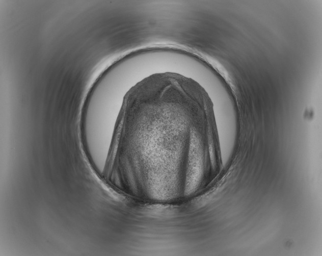 X0000090611327200708141343