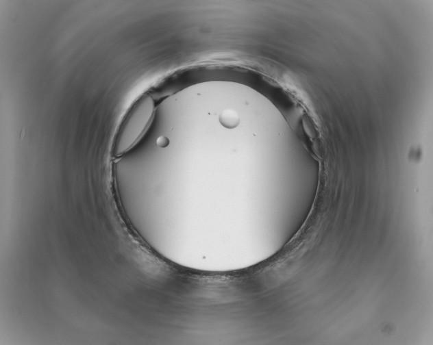 X0000090611328200708141343