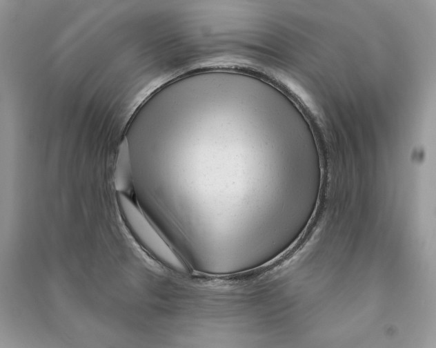 X0000090611329200708141343