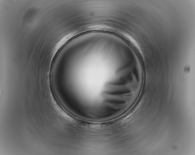 X0000090611330200708141343