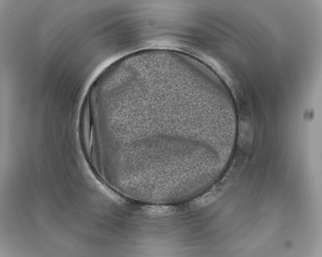 X0000090611331200708141343