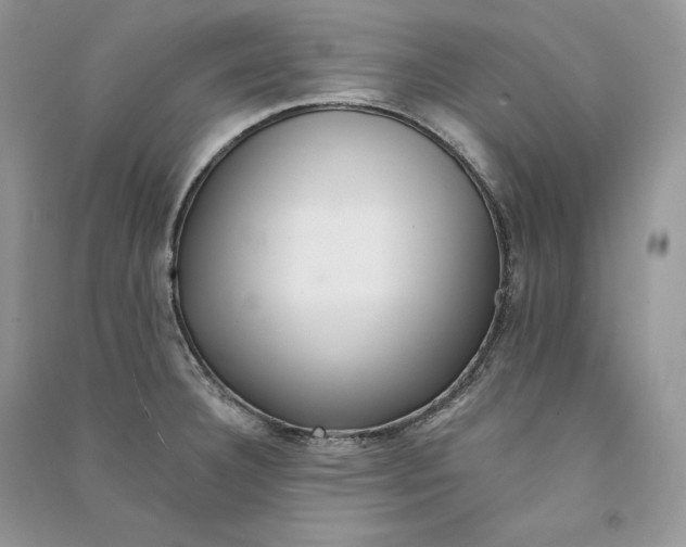 X0000090611332200708141343