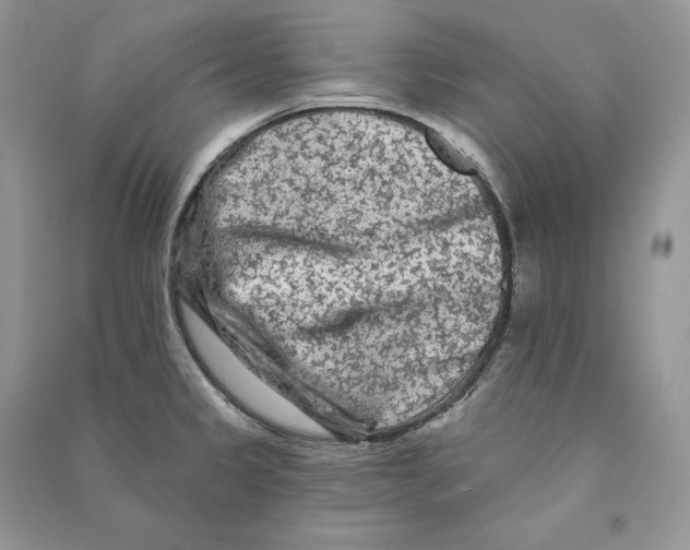 X0000090611333200708141343