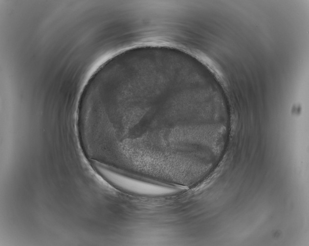 X0000090611334200708141343