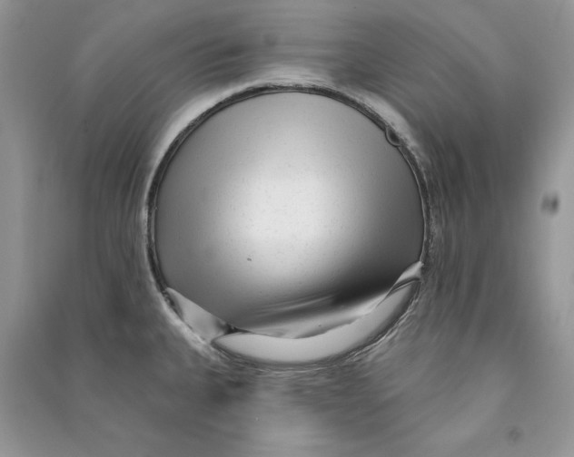 X0000090611335200708141343