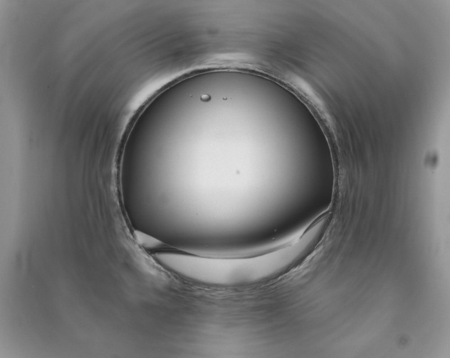 X0000090611336200708141343