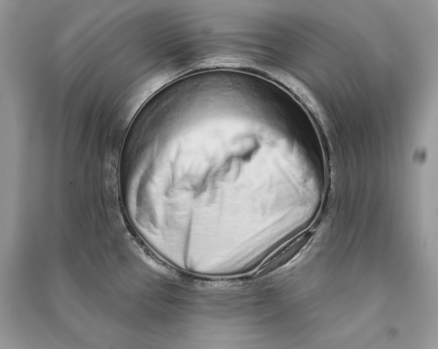 X0000090611337200708141343