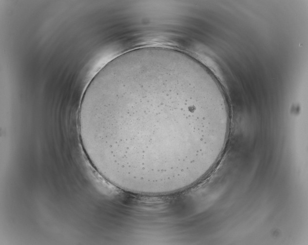 X0000090611338200708141343