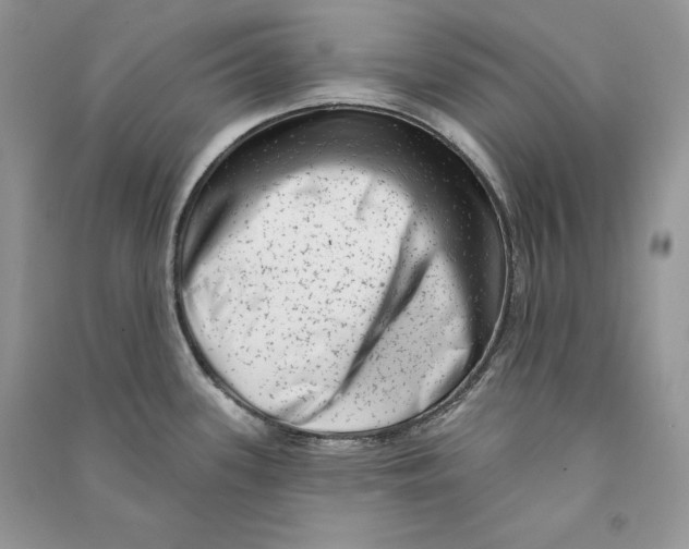 X0000090611339200708141343