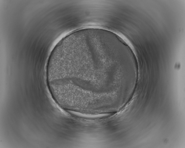 X0000090611341200708141343