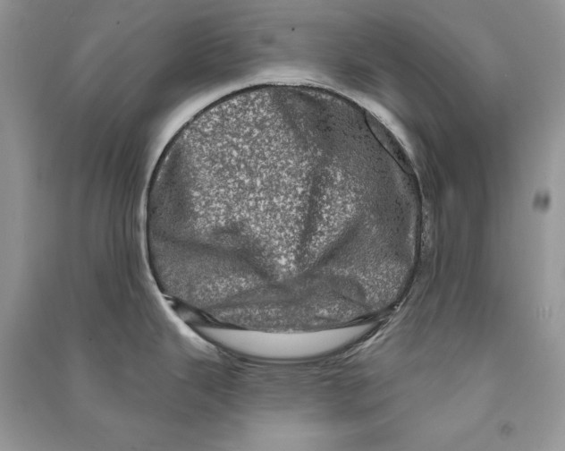 X0000090611343200708141343