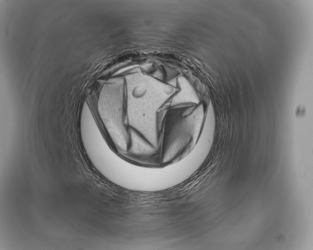 X0000090611345200708141343