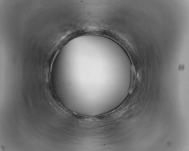 X0000090611348200708141343