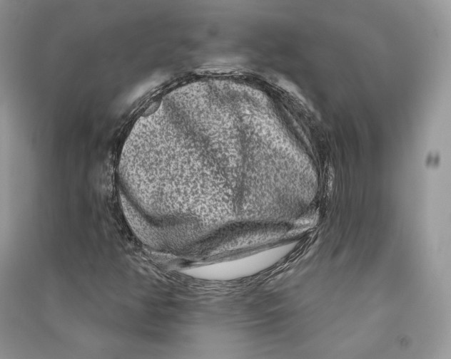 X0000090611350200708141343