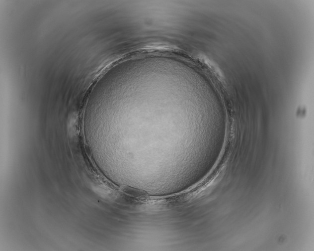 X0000090611353200708141343