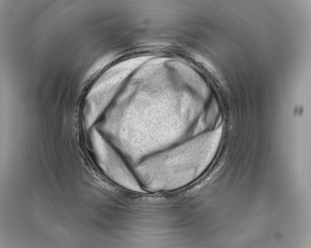 X0000090611354200708141343