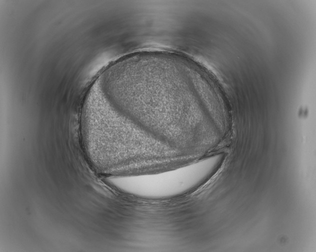 X0000090611355200708141343