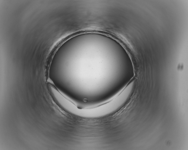 X0000090611356200708141343