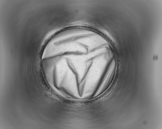 X0000090611358200708141342