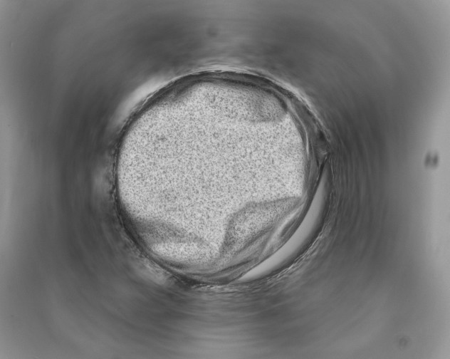 X0000090611359200708141342