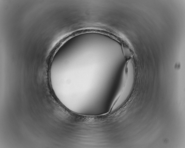 X0000090611360200708141342