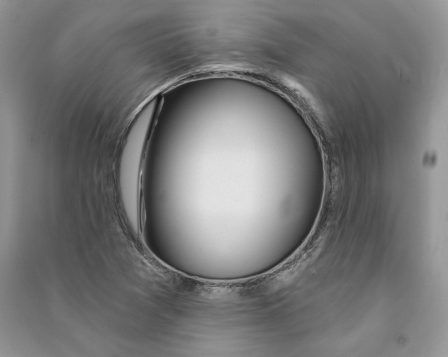 X0000090611361200708141342