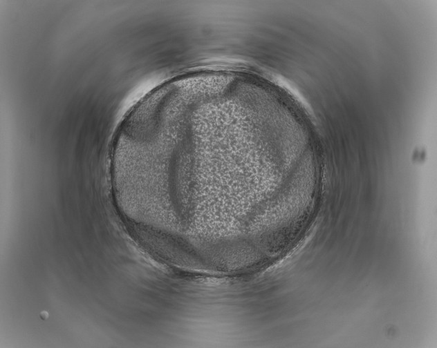 X0000090611362200708141342