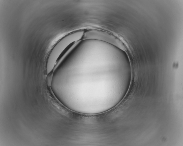 X0000090611363200708141342