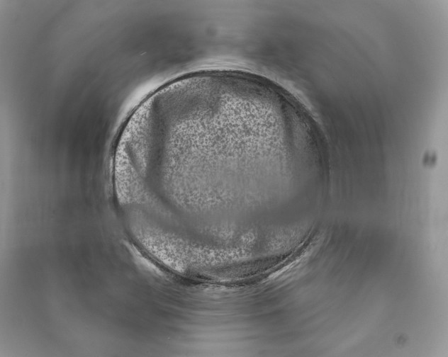 X0000090611366200708141342