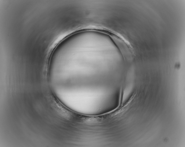 X0000090611367200708141342