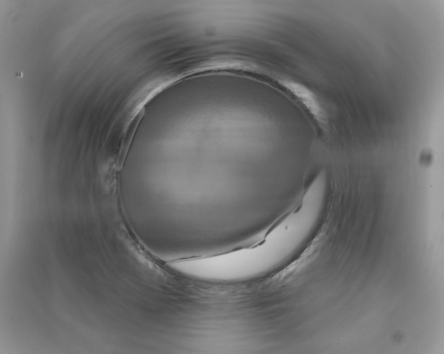 X0000090611369200708141342