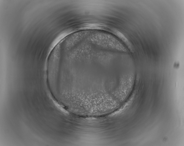 X0000090611370200708141342