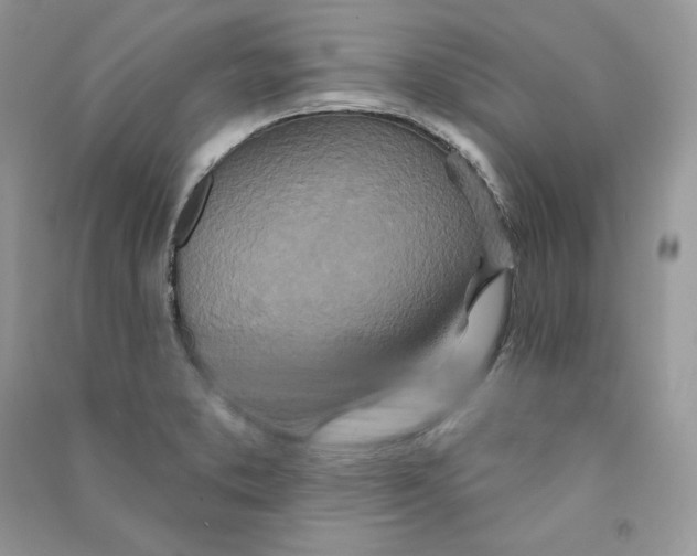 X0000090611373200708141342