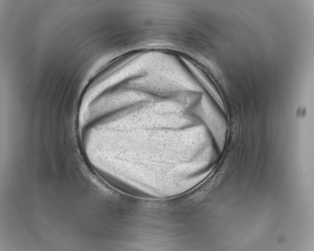 X0000090611374200708141342