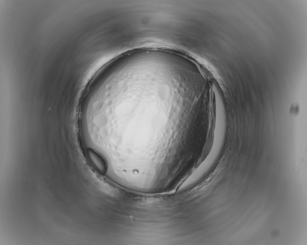 X0000090611375200708141342