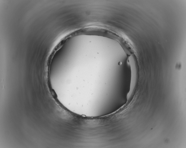 X0000090611376200708141342