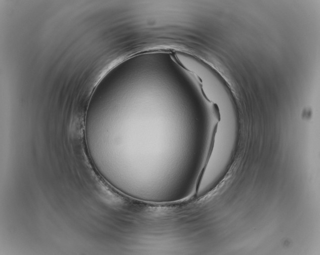 X0000090611377200708141342