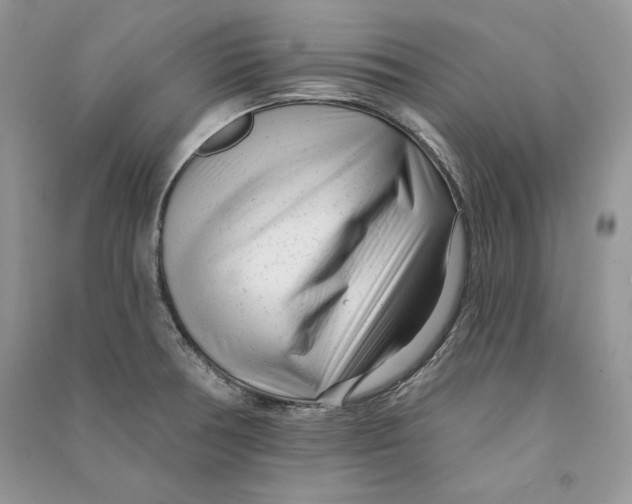 X0000090611378200708141342