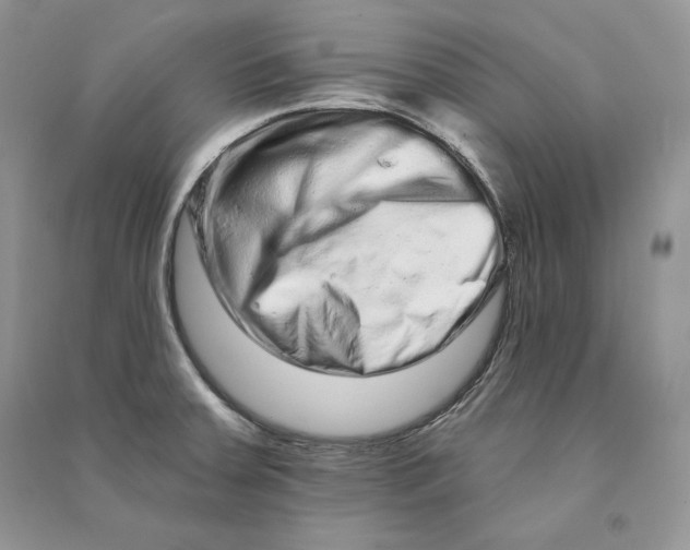 X0000090611379200708141342