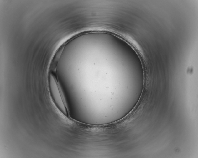 X0000090611380200708141342