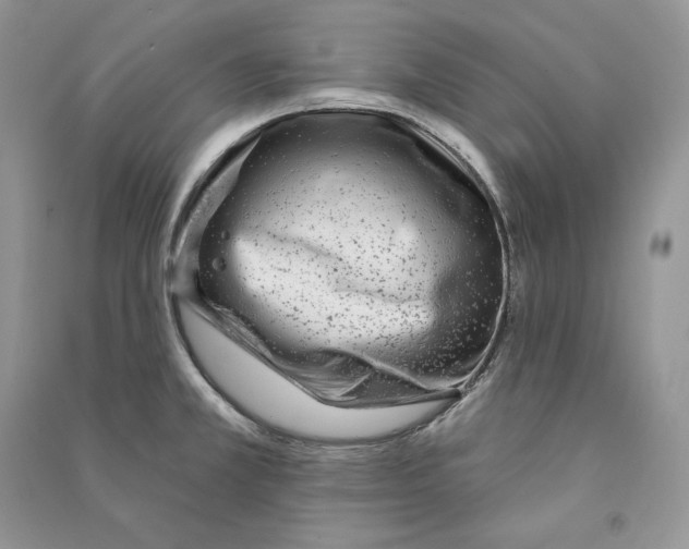 X0000090611381200708141342