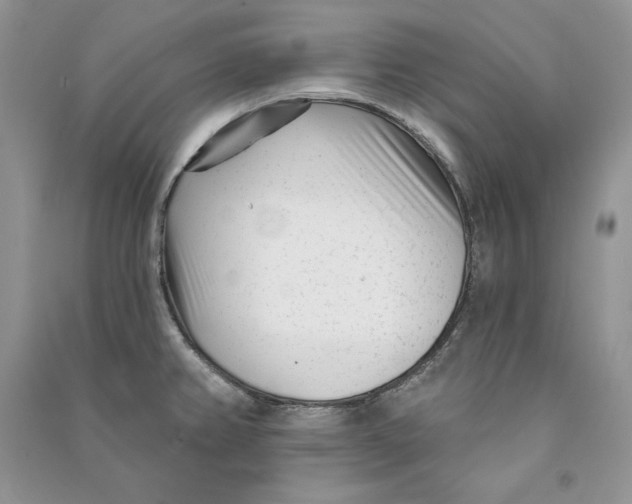 X0000090611382200708141342