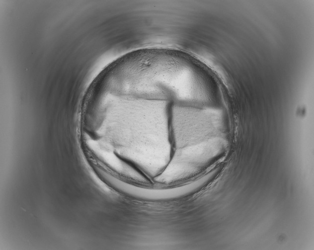 X0000090611383200708141342