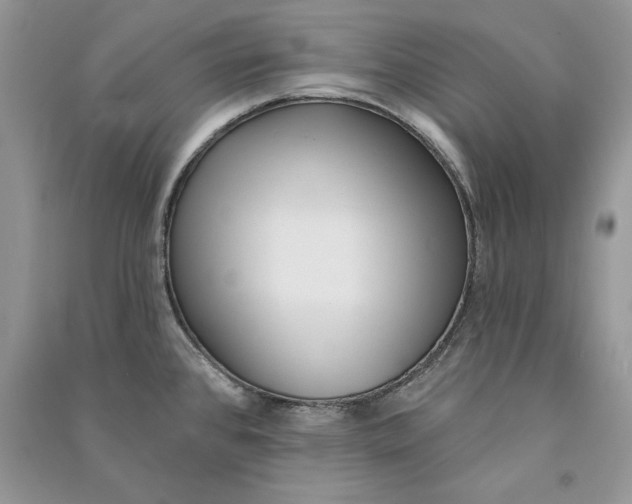 X0000090611384200708141342