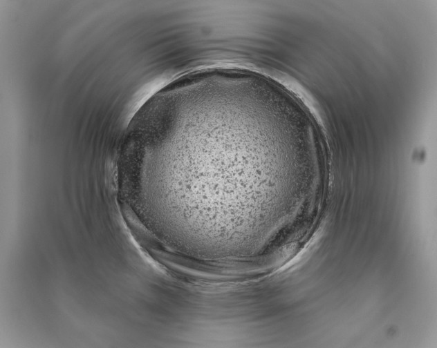 X0000090611385200708141342