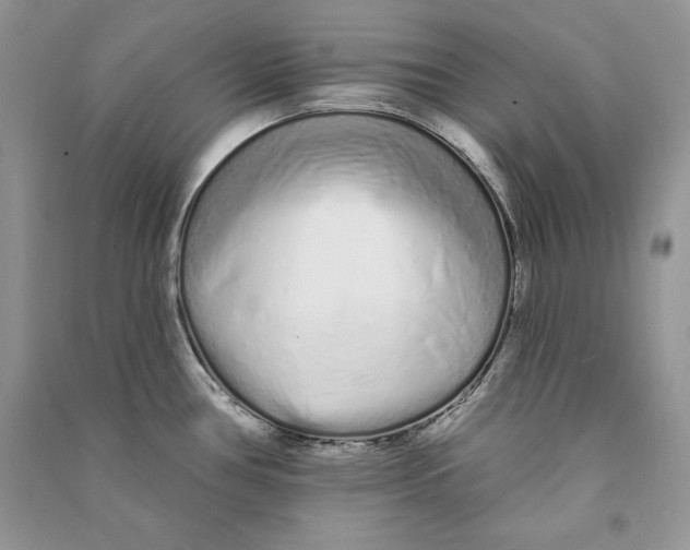 X0000090611386200708141342